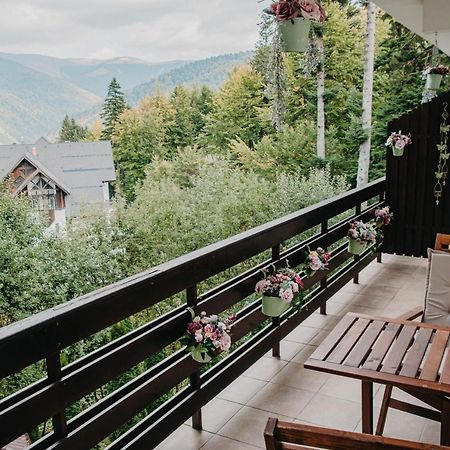 Hugo Mountain Apartment Sinaia Ngoại thất bức ảnh