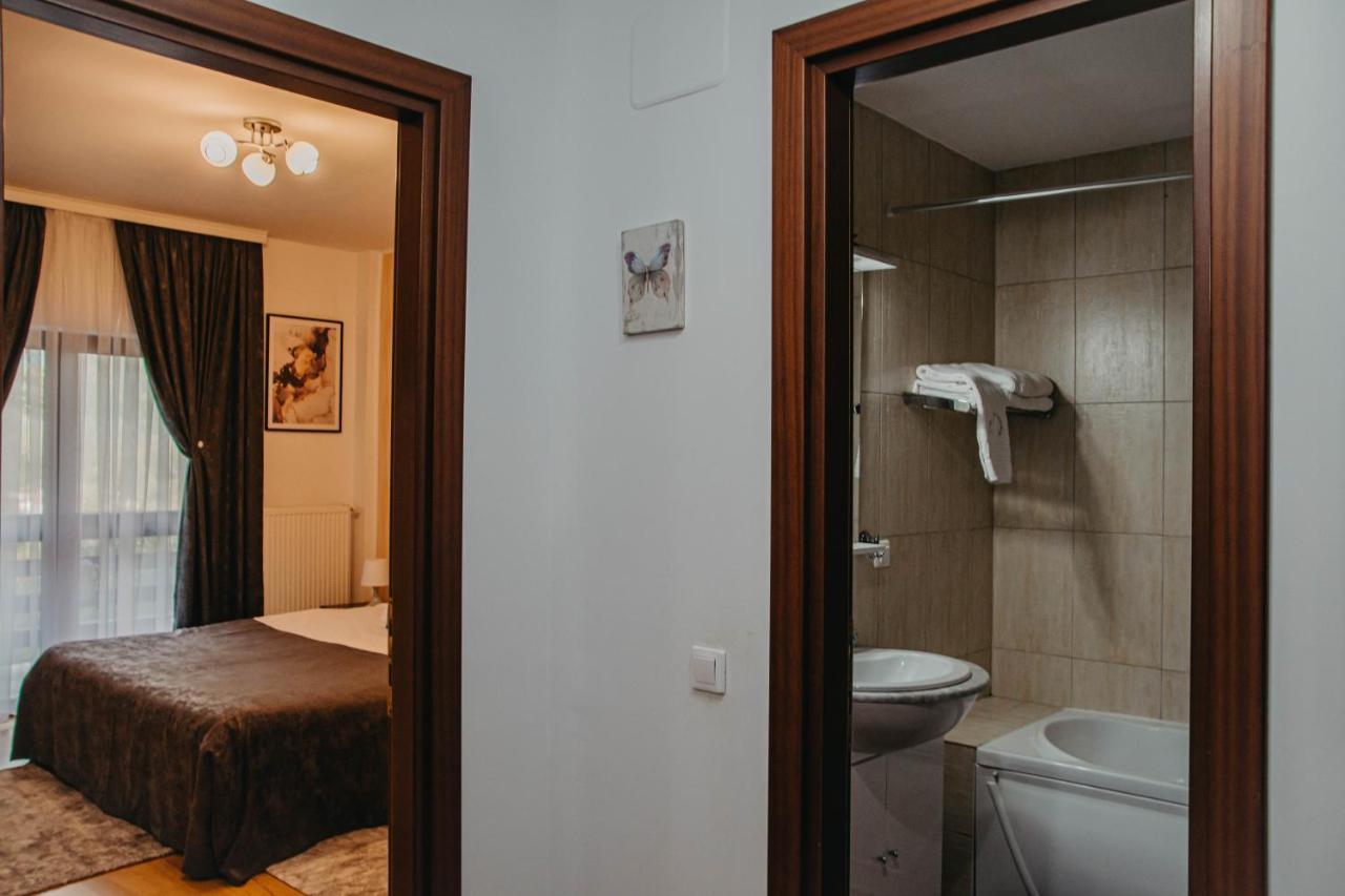 Hugo Mountain Apartment Sinaia Ngoại thất bức ảnh