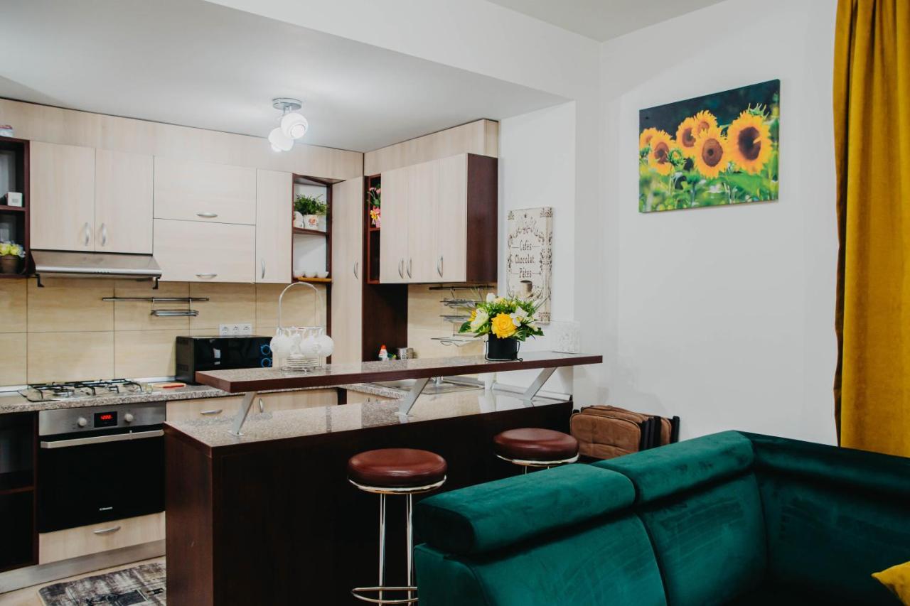 Hugo Mountain Apartment Sinaia Ngoại thất bức ảnh