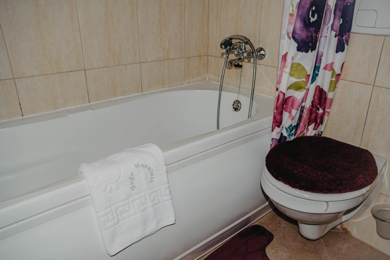 Hugo Mountain Apartment Sinaia Ngoại thất bức ảnh