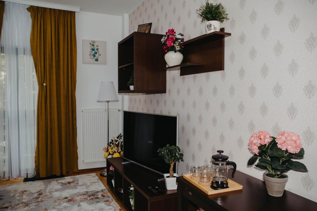 Hugo Mountain Apartment Sinaia Ngoại thất bức ảnh