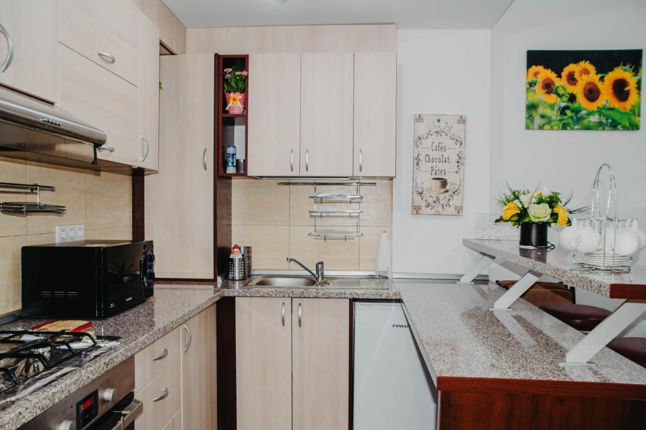 Hugo Mountain Apartment Sinaia Ngoại thất bức ảnh