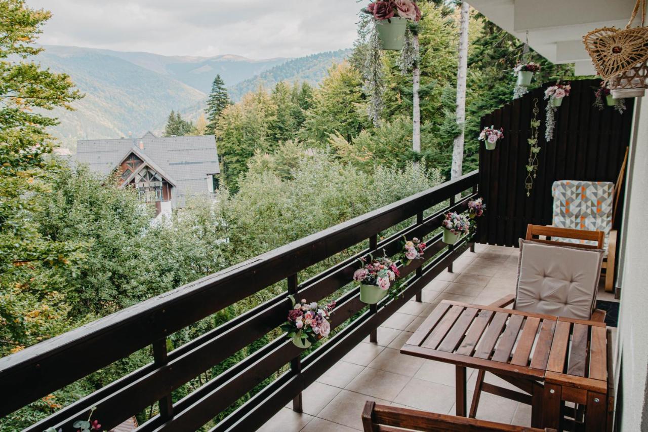 Hugo Mountain Apartment Sinaia Ngoại thất bức ảnh